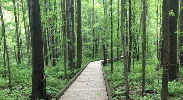 Delaware’s Most Haunted Trail Is Also One Of The Most Scenic Hikes In The State