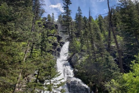 This Underrated Waterfall Hike In Montana Is A True Hidden Gem