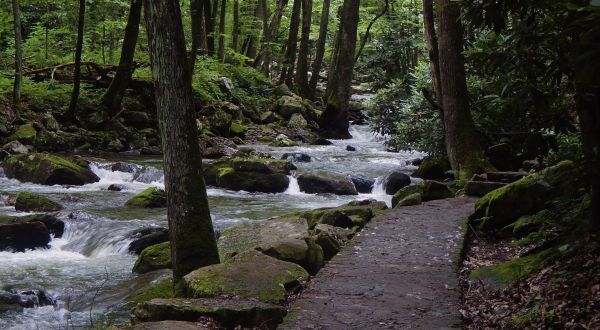 This Shaded Hike To A Waterfall Swimming Hole In Virginia Is The Summer Adventure We All Need