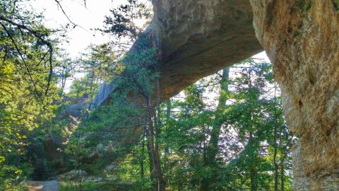 The Lesser Known Natural Bridge Hike In Kentucky That's Quick And Easy