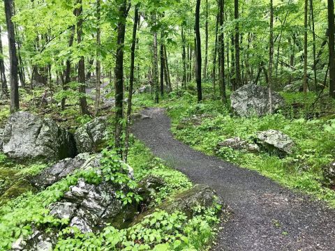 This 3-Mile Hike In West Virginia Takes You Through An Enchanting Forest