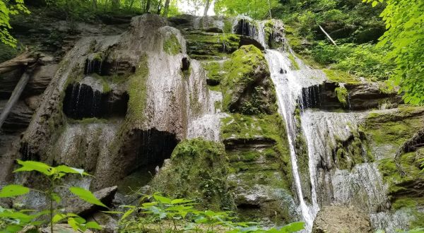 The Hike To This Pretty Little Virginia Waterfall Is Short And Sweet
