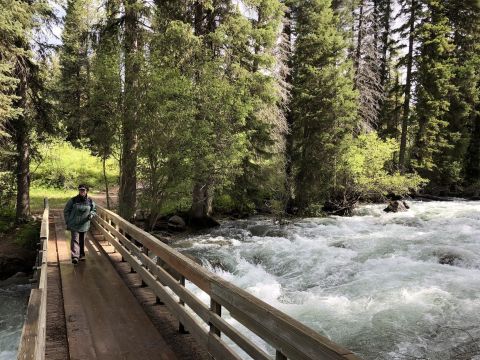 The Magnificent Bridge Trail In Wyoming That Will Lead You To A Hidden Overlook