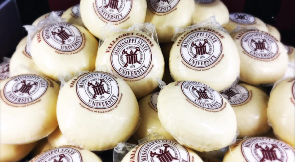 There’s A Cheese Haven Hiding In Mississippi And It’s Everything You’ve Dreamed And More