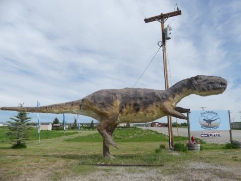Dig For Ancient Fossils At This Little-Known Dinosaur Park In Montana