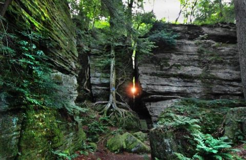 This Hidden Spot Near Buffalo Is Unbelievably Beautiful And You’ll Want To Find It
