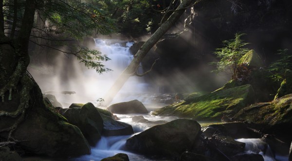 The Hike To This Pretty Little Alabama Waterfall Is Short And Sweet