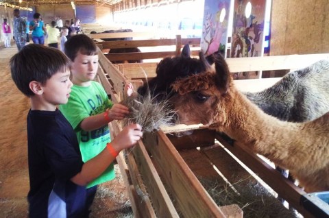 The Small Town Petting Zoo In Alabama That's Worthy Of A Road Trip