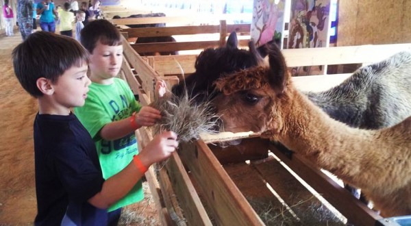 The Small Town Petting Zoo In Alabama That’s Worthy Of A Road Trip