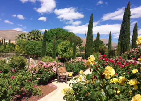 This Beautiful Rose Garden Tucked Away In The West Texas Mountains Is Worth A Visit