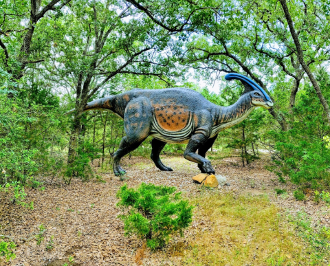 Dig For Ancient Fossils At This Little-Known Dinosaur Park In Texas