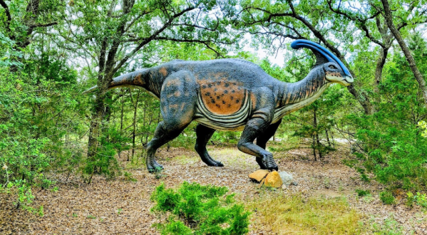 Dig For Ancient Fossils At This Little-Known Dinosaur Park In Texas