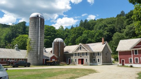 You'll Love Visiting This Vermont Farm Where You Can Pet All The Animals