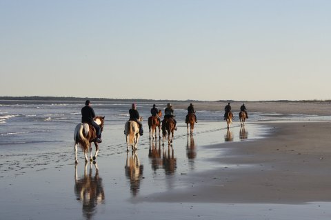 Take This One-Of-A-Kind Horseback Riding Tour Along This Florida Island
