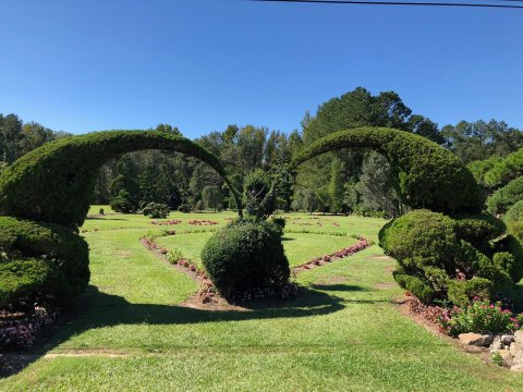The Whimsical Topiary Garden In South Carolina That Will Capture Your Imagination