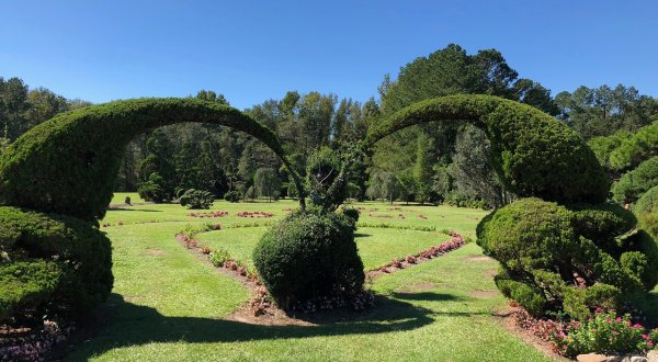 The Whimsical Topiary Garden In South Carolina That Will Capture Your Imagination