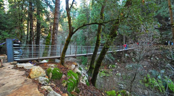 This Suspension Bridge Hike In Northern California Leads You Into A Natural Wonderland
