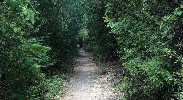 Take This Easy Hike Though A Magical Tunnel Of Trees In Texas