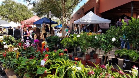 The 40-Year-Old Florida Farmers Market Is Set In An Old Train Depot
