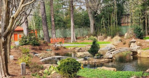 Few People Know There’s A Peaceful Japanese Tea Garden Hiding Right Here In South Carolina
