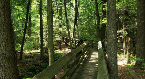 The Boardwalk Hike In West Virginia That Leads To Incredibly Scenic Views