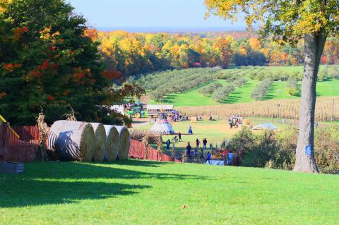 Enjoy A Hillside Slide, Pumpkin Picking, And More All At Mapleside Farms Near Cleveland