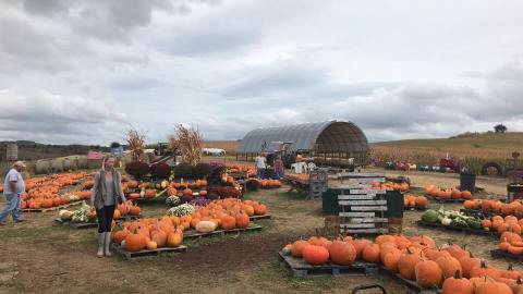 Nothing Says Fall Is Here More Than A Visit To West Virginia's Charming Pumpkin Farm