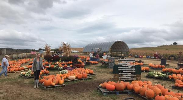 Nothing Says Fall Is Here More Than A Visit To West Virginia’s Charming Pumpkin Farm