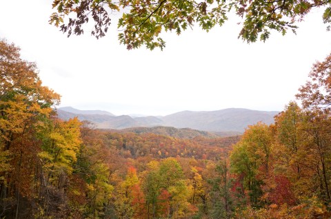 The Most Scenic Views In Tennessee Are Along This Little-Known Mountain Road