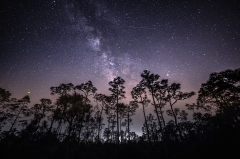 The New Jersey Sky Will Light Up With Shooting Stars And A Nearly Full Moon This Weekend