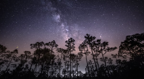 The New Jersey Sky Will Light Up With Shooting Stars And A Nearly Full Moon This Weekend