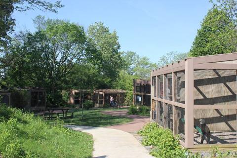 The Whimsical Michigan Nature Center Where You'll Get Up Close And Personal With Wildlife