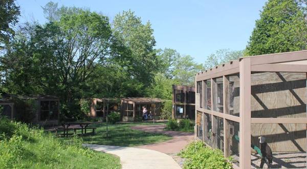 The Whimsical Michigan Nature Center Where You’ll Get Up Close And Personal With Wildlife