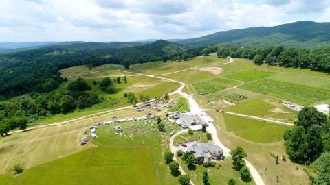 Sip Wine And Enjoy Homemade Pizza At This Picture-Perfect Mountain Vineyard In Virginia