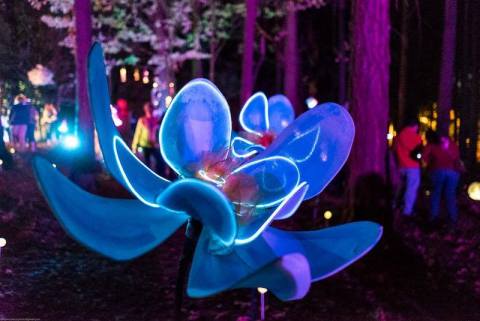 Check Out The Arts-A-Glow Festival Of Lights In Washington