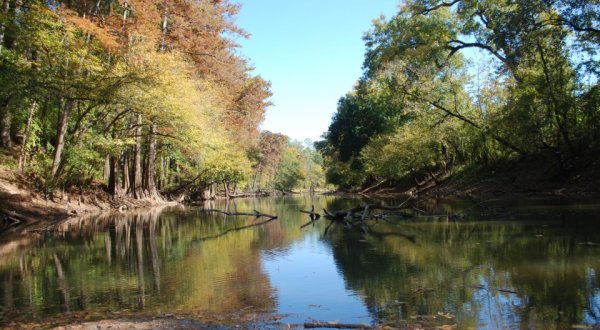 The Oldest State Park In Louisiana Will Make You Feel A Thousand Miles Away From It All