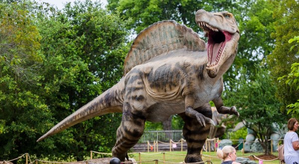 The One Place In Mississippi You Can Walk Among Dinosaurs