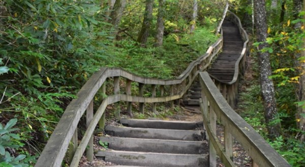 Hike This Stairway To Nowhere In North Carolina For A Magical Woodland Adventure