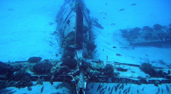 Discover A Slice Of History At The Underwater Corsair Plane Wreck In Hawaii