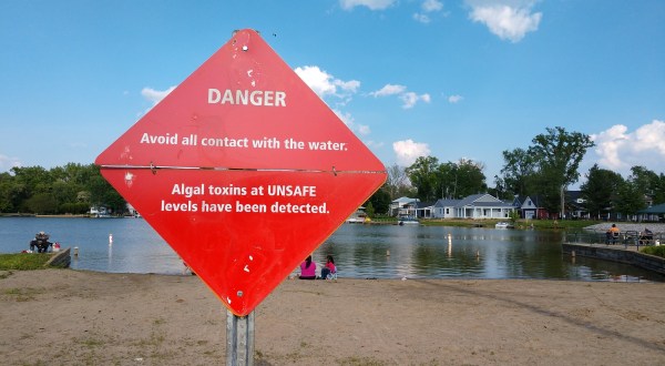 The Toxic Blue-Green Algae Responsible For Killing Dogs Around The U.S. Has Been Found In Ohio