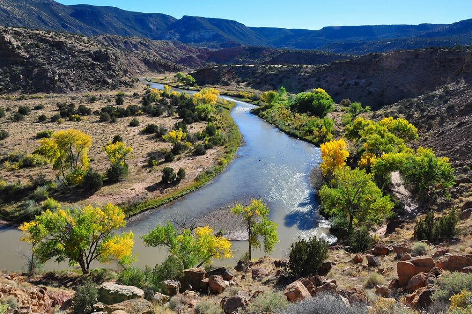 New Mexico banner image