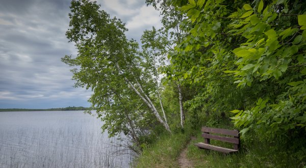 This Hidden Gem Forest In Minnesota Is Home To 1,300 Lakes