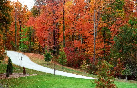 The Best Times And Places To View Fall Foliage In Ohio