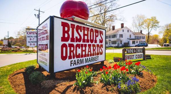 Connecticut’s Bishop’s Orchards Has 20 Delicious Apple Varieties Prime For The Picking