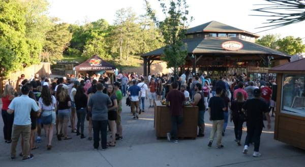Explore Hogle Zoo After Hours At The Adults-Only Zoo Brew In Utah