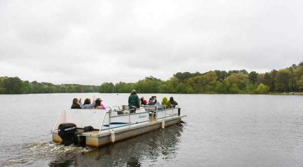 Take A Pontoon Boat Safari In Delaware For A Day Of Pure Fun
