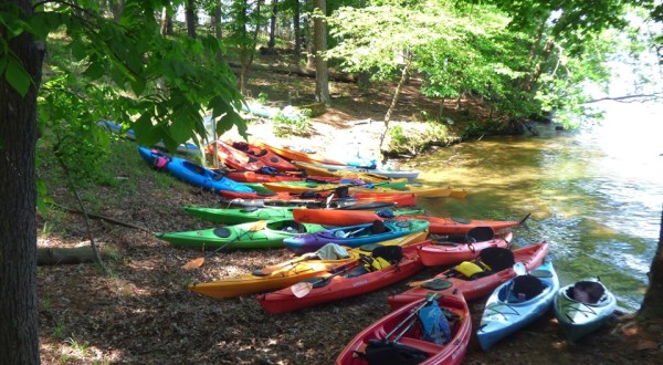 Hike This Island Trail For An Unexpected Adventure In Arkansas