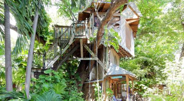 Spend The Night In A Private Treehouse In This Lush Urban Oasis In Florida