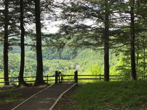 Cold Run Loop Trail Is A Waterfall Hike In Pennsylvania With Sweeping Canyon Views