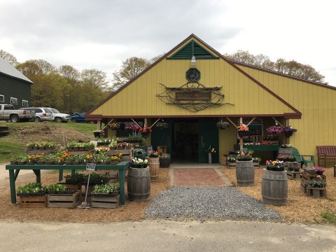 The Charming Farm Stand In Maine That Sells Delicious Summer And Fall Produce
